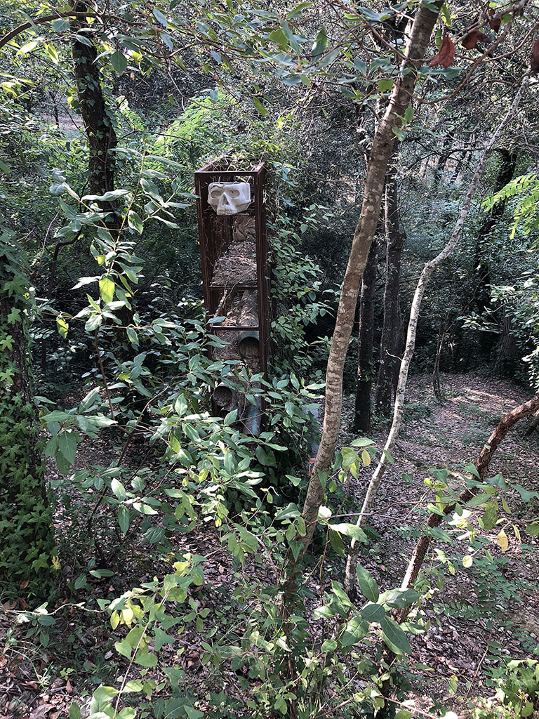 Banc d'herba [1]