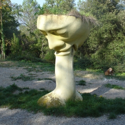 Calze felatori [4]