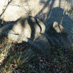 Cares bessones [4]