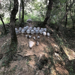 Consell de cent. Col·laboradors del bosc [1]