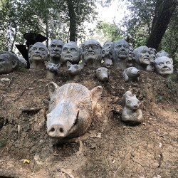 Consell de cent. Col·laboradors del bosc [3]