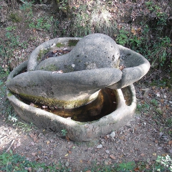 Pluviòmetre