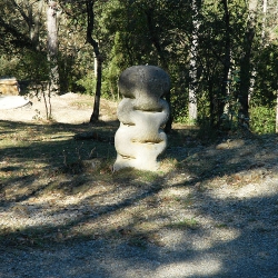 Salicall [2]