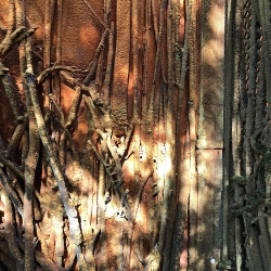 Taller [17]
