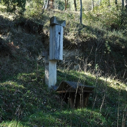 El meu compromís amb la terra
