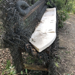 El banc d’en toyo ito [4]