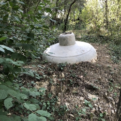 El pit de la vida