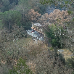 FORA BOSC